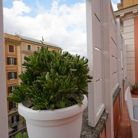 Rooftop St. Peter *